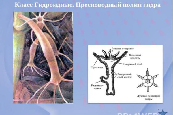 Что такое кракен магазин