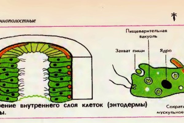 Действующие ссылки на кракен